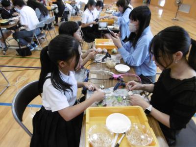6年学P