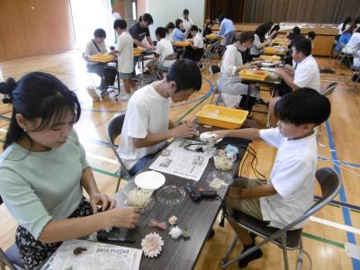 6年学P