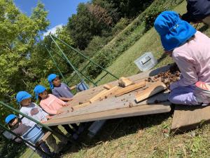 どんぐり転がし