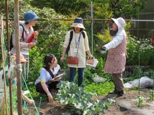 カリキュラム１