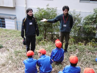 ジャングルランド