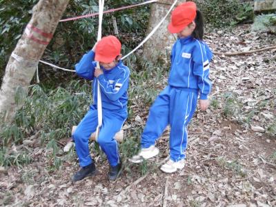 ジャングルランド