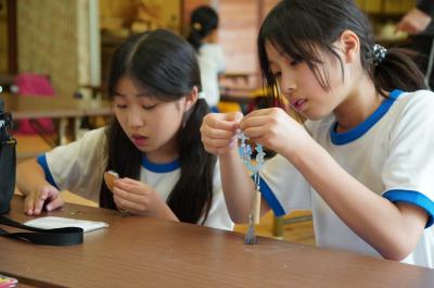 野外宿泊学習