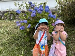 お寺の青いアジサイと子どもたち
