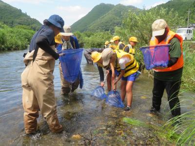 水辺の学習