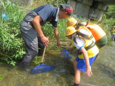 水辺の学習