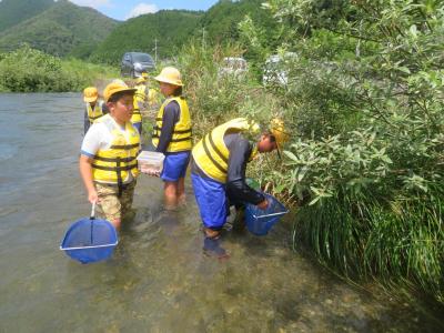 水辺の学習