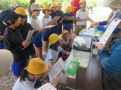 水辺の学習