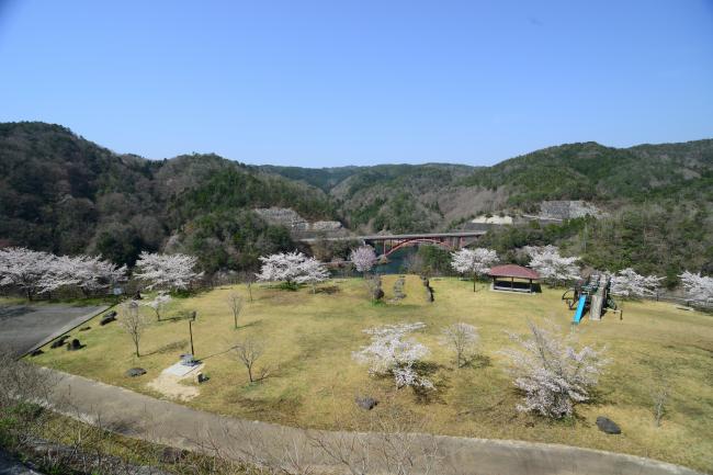 花見広場