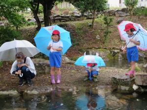 雨の日