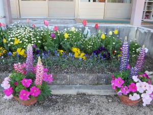 草加部幼稚園の花壇