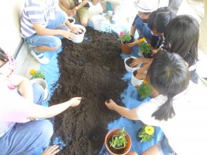 いよいよ土を入れて花を植えます。