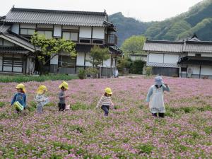 草加部のれんげ