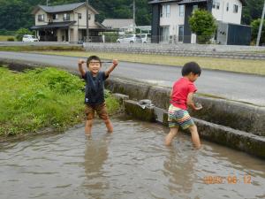 カエル見つけたよ。