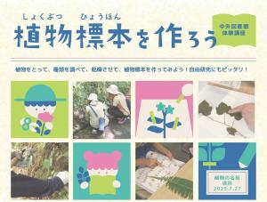 植物標本を作ろう