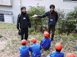 ジャングルランド