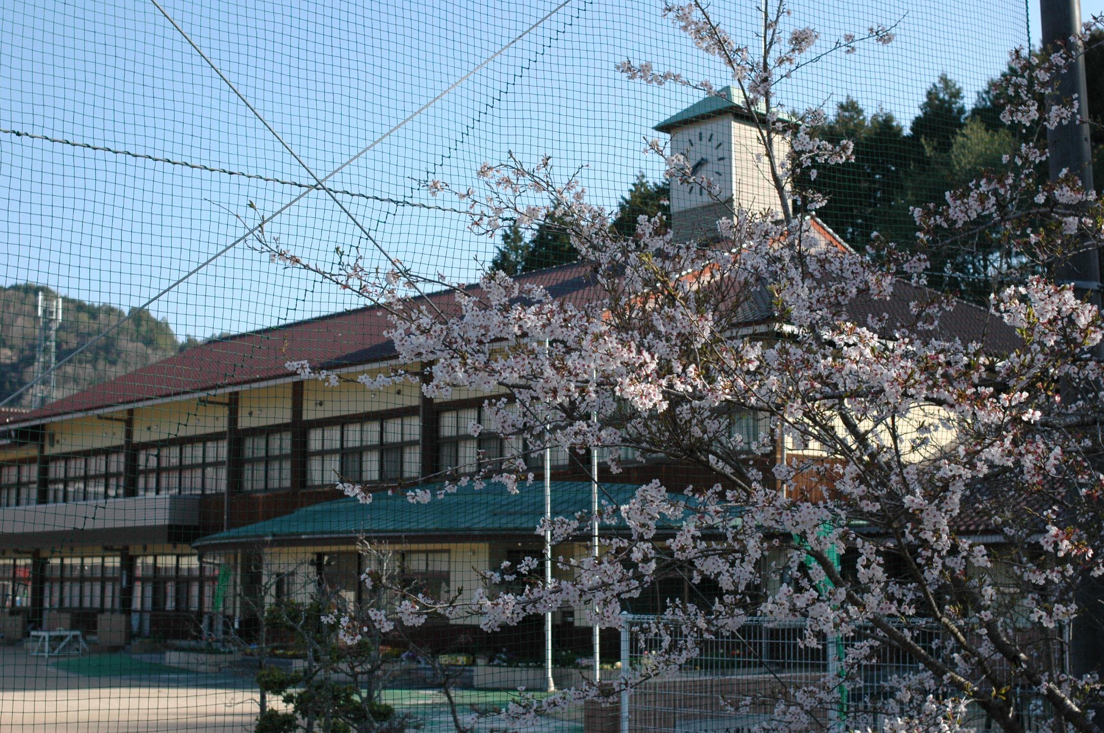 春の余野